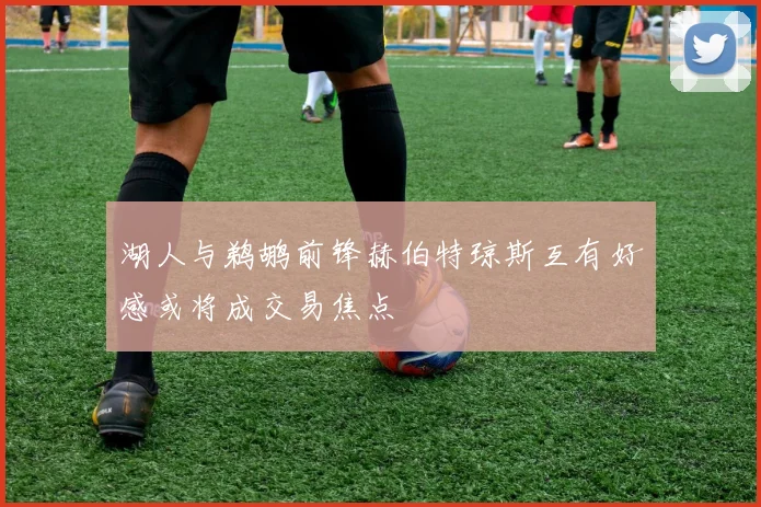 湖人与鹈鹕前锋赫伯特琼斯互有好感或将成交易焦点