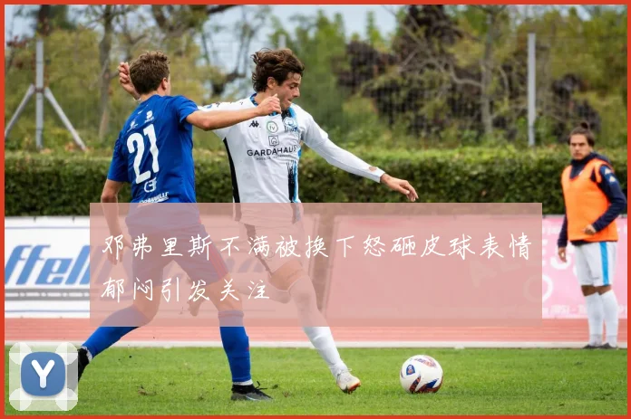 邓弗里斯不满被换下怒砸皮球表情郁闷引发关注